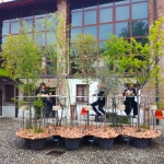 Mobili come isole verdi. CreativitÃ  giapponese a Milano